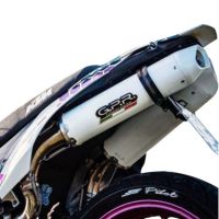 Scarico GPR compatibile con  Ktm Duke II 2000-2006, Albus Ceramic, Coppia di terminali di scarico omologati, forniti con db killer removibili e raccordi specifici