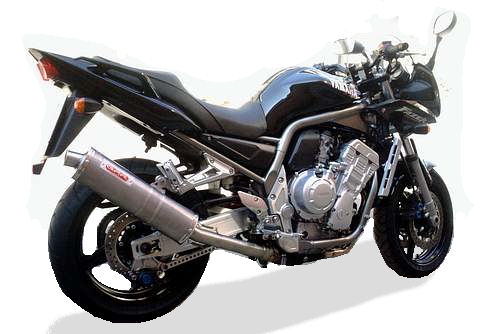 GPR exhaust compatible with  Yamaha Fzs 1000 Fazer 2001-2005, Albus Ceramic, Homologated legal slip-on exhaust including removable db killer and link pipe 