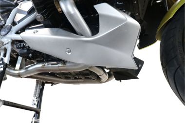 Scarico GPR compatibile con  Bmw R 1250 R -Rs 2019-2020, Decatalizzatore, Collettore decatalizzore, applicazione racing